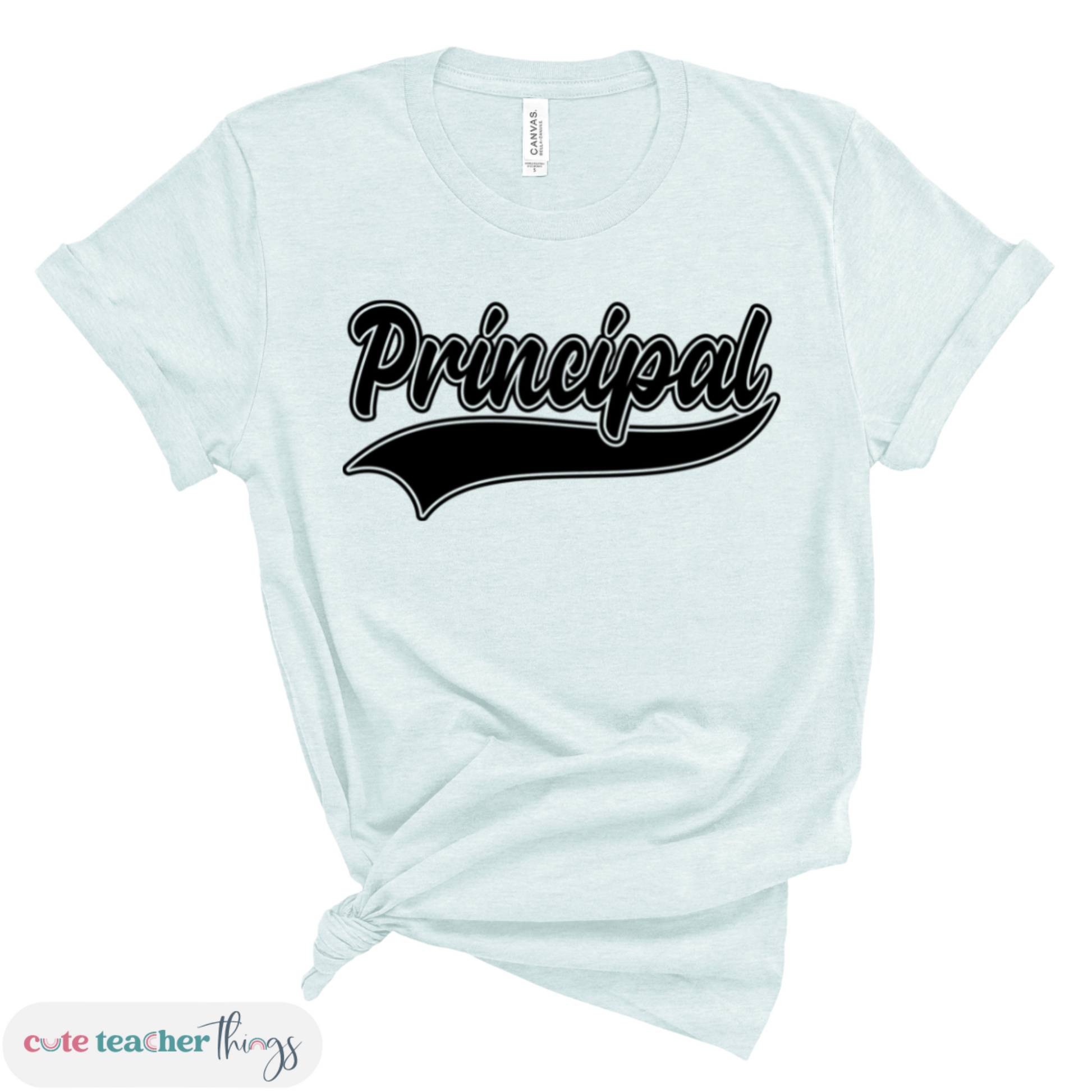 teacher day celebration principal t-shirt, gift idea for principal