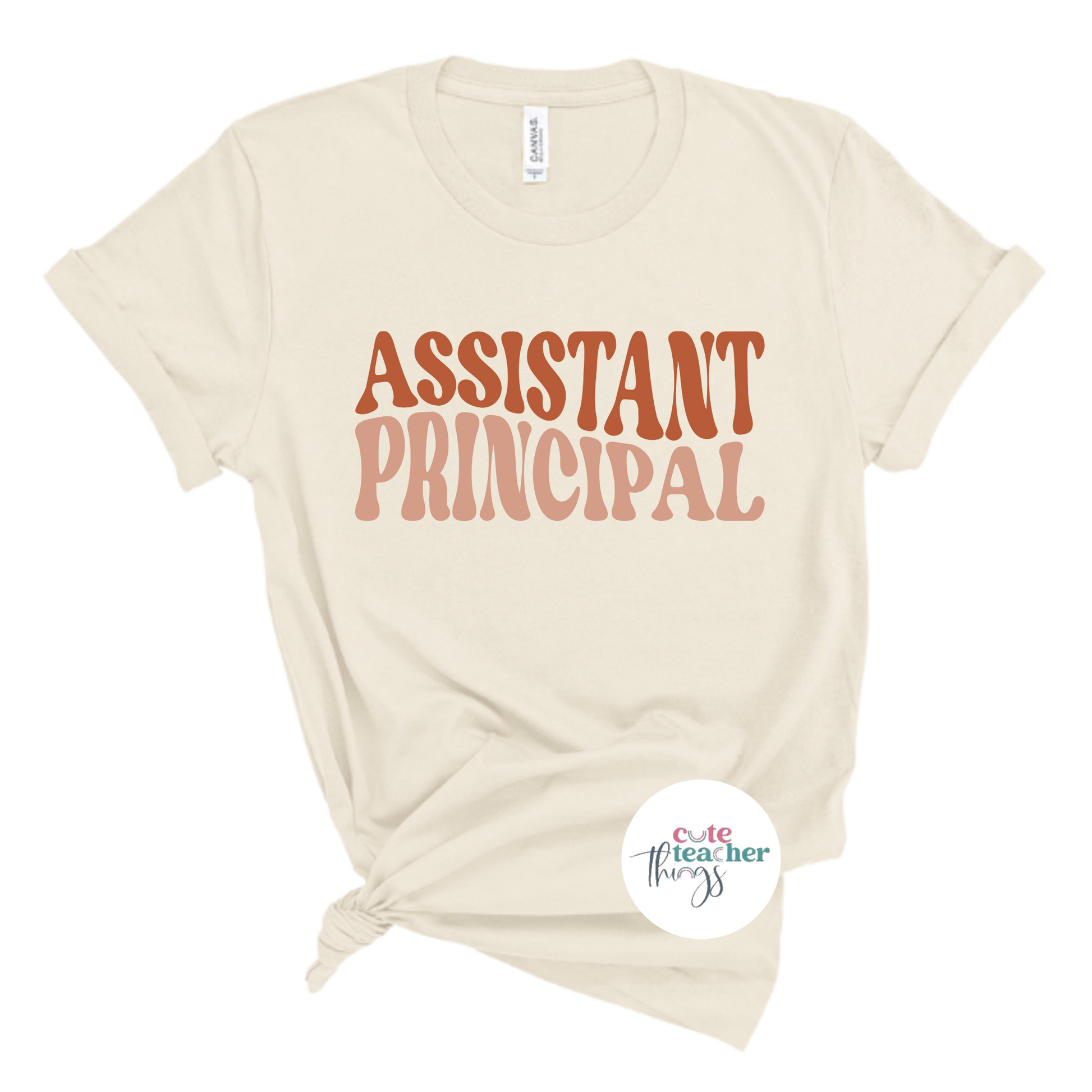 assistant principal wave tee, appreciation shirt, school staff t-shirt