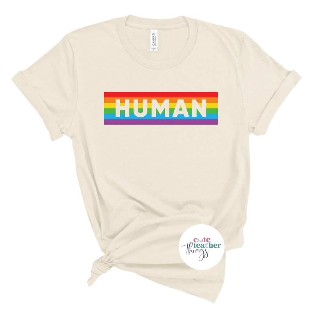 equality t-shirt,  human rights awareness shirt, pride rainbow tee