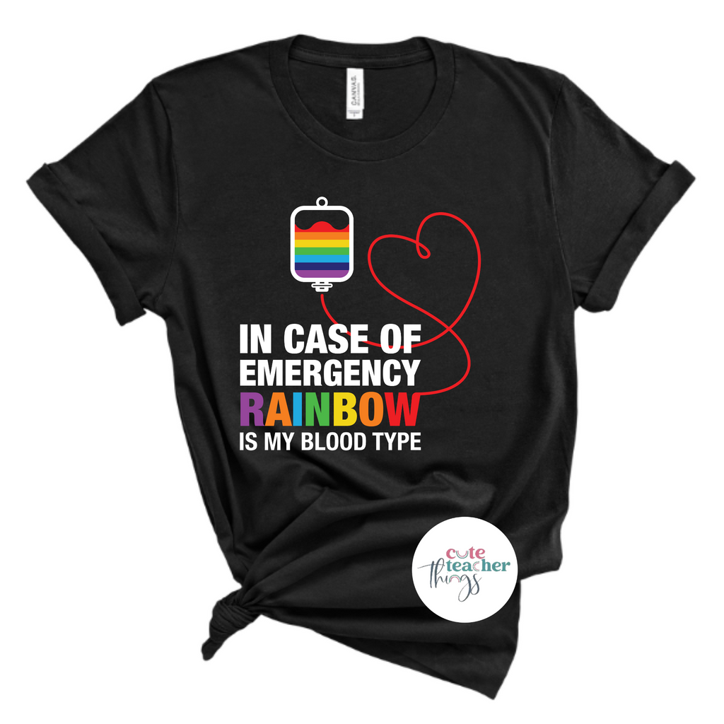LGBTQ pride shirt, pride t-shirt, LGBT teacher t-shirt