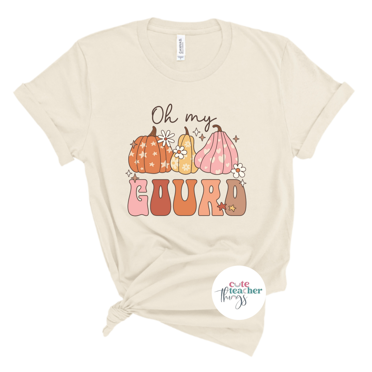 thanksgiving t-shirt, teacher fall outfit, autumn shirt, fall vibes