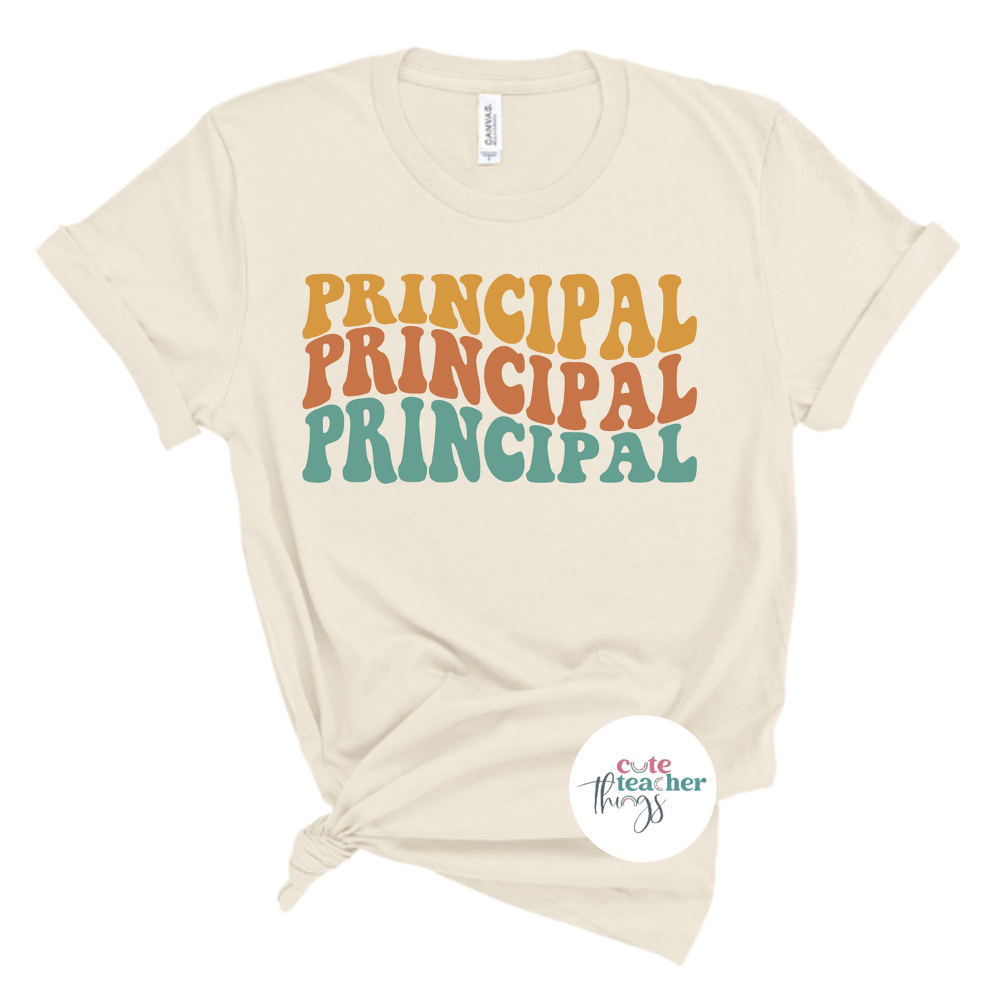 perfect gift for school principal, principal apparel, school administrator shirt