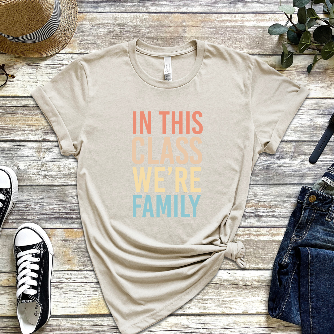 in this class we're family design, teacher appreciation gift, teacher t-shirt 