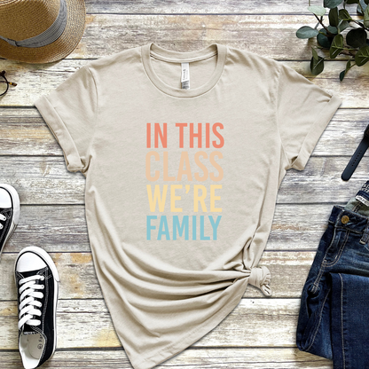 in this class we're family design, teacher appreciation gift, teacher t-shirt 